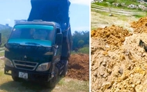 Lái 2 xe tải đi đổ xà bần trái phép, 3 người bị phạt 18,5 triệu đồng