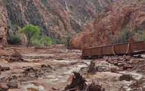 Lũ quét tan hoang Vườn quốc gia Grand Canyon, trực thăng phải vào cứu hàng chục người