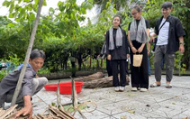 Về Cần Thơ Tết Độc lập: Trải nghiệm sống chậm giữa Cồn Sơn và làm sô cô la miệt vườn