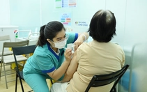 TP.HCM ghi nhận gần 1.000 ca sốt xuất huyết mới 1 tuần