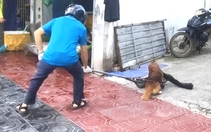 Phường Đông Hòa, TP.HCM tổ chức bắt chó thả rông