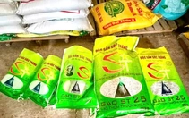 ‘Hô biến’ gạo không rõ nguồn gốc thành gạo ST25: Nếu đủ căn cứ Công an An Giang sẽ khởi tố bị can