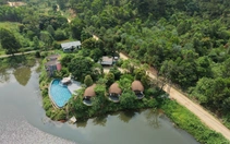 Thành ủy Hà Nội chỉ đạo làm rõ trách nhiệm vụ villa, homestay mọc như nấm trong rừng phòng hộ Sóc Sơn