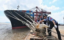 Trung Quốc nâng mức ứng phó bão Dolphin, đóng cảng, đình chỉ 162 tuyến phà