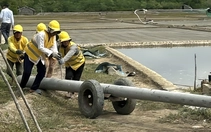 Những người vác bình minh
