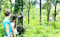 Ngắm voi, động vật hoang dã ở trạm cứu hộ tại Buôn Đôn dịp lễ