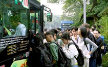 TP.HCM xây dựng mô hình xe buýt đón, trả khách linh hoạt qua ứng dụng