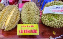 Khánh Hòa giao công an điều tra, xử lý giả mạo mã số vùng trồng sầu riêng