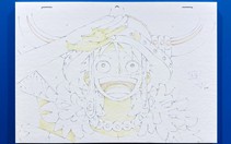 Đắm chìm trong thế giới hải tặc với One Piece Day 2026