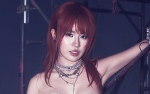 Pháo trở lại giữa cuộc đua của Jack và Tinh hà say hi
