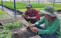 Cuộc thi Lan tỏa năng lượng tích cực 2026: Nông nghiệp công nghệ cao hỗ trợ nông dân