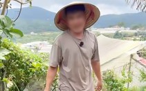 Phường Xuân Hương - Đà Lạt lý giải việc xử phạt 35 triệu với người chặt cây thông tại vườn nhà