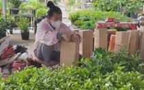 Cuộc thi Lan tỏa năng lượng tích cực 2026: Nông dân Sa Đéc xóa tư duy mùa vụ nhờ kinh tế số