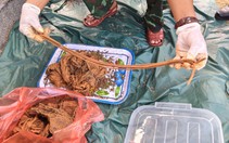 Hàng loạt di vật tìm thấy dưới mộ tập thể 17 liệt sĩ do người dân chôn cất ở Đà Nẵng