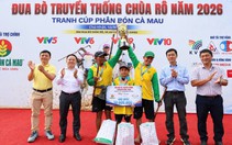 Hội đua bò Chùa Rô 2026 sôi động với 32 đôi bò tranh tài
