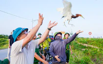Phá ‘ma trận’ bẫy bắt chim trời, bảo vệ đàn chim mùa di cư