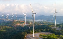 Quảng Trị chấp thuận Xuân Cầu Holdings đầu tư nhà máy điện gió 6.500 tỉ đồng
