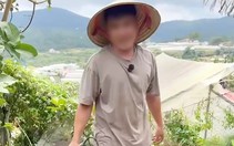 Băn khoăn về căn cứ xử phạt nam thanh niên chặt cây thông trong vườn nhà ở Đà Lạt