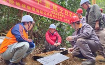 AI giúp Trung Quốc giảm mạnh thời gian thăm dò khoáng sản