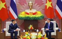 Thủ tướng Lê Minh Hưng hội kiến Nhà vua Thái Lan