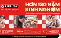 Những dấu hiệu cho thấy mèo đang được chăm sóc đúng cách