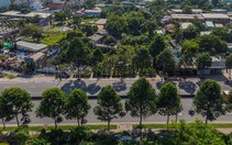 Di dời 186 cây xanh làm nút giao Phạm Văn Đồng - vành đai 2 TP.HCM