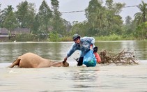 Bí thư Tỉnh ủy Đắk Lắk: Thủy điện xả lũ phải gửi cảnh báo trực tiếp đến người dân trước nửa ngày