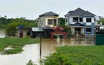 Lũ trên các sông ở Hà Nội, Ninh Bình, Thanh Hóa tiếp tục lên, ven sông ngập sâu