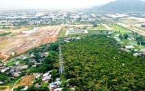 Rừng thiêng độc đáo trong lòng phố Đà Nẵng được đầu tư 400 tỉ làm hạ tầng, giao thông