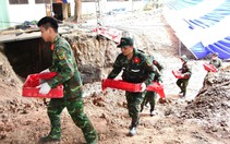 Ngày 17-9: chuyển 500m³ đất, tìm thấy thêm 17 bộ hài cốt liệt sĩ ở công viên Lê Thị Riêng