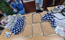 Từ mối quen biết tại nhà hàng ở Berlin đến những kiện hàng chứa hơn 10kg ma túy về Việt Nam