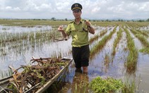 Gỡ 47 bẫy kẹp săn chim, phát hiện nguy cơ rình rập người đi đồng