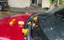 Tìm chỗ đậu xe ô tô trên đường phải nhìn nét mặt của chủ nhà, không có thái độ gì mới dám đậu?