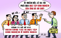 Công ty xổ số nên học kinh nghiệm ở đâu cho… trúng?