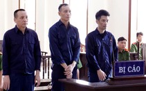 Tòa tối cao giảm án cho cả 4 cựu lãnh đạo, nhân viên CIPCO
