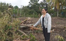 Cuộc thi Lan tỏa năng lượng tích cực 2026: Đốn bỏ 100 gốc sầu riêng để bộ đội tìm, quy tập hài cốt liệt sĩ