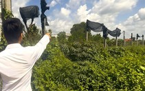 Yêu cầu xã Tân Nhựt báo cáo Chủ tịch UBND TP.HCM về phản ánh chậm giải quyết quy hoạch mở cây xăng