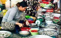 Giá cả đầu ngày: Cá heo sông lên đến 600.000 đồng/kg, gà công nghiệp bán dưới giá thành