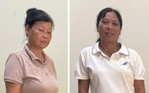 Khởi tố thủ quỹ và thành viên ban quản lý bếp ăn trường nội trú ở Phú Thọ