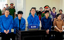 3 cựu viên chức thú y ở Cần Thơ lãnh án vì cho heo bệnh, chết vào giết mổ