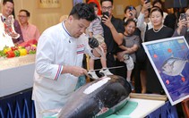 Xem đầu bếp Việt xẻ thịt cá ngừ vây xanh 60kg đi máy bay về từ Nhật