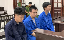 Tìm đến cỏ Mỹ vì mất ngủ, thanh thiếu niên trả giá bằng 4 năm 6 tháng tù