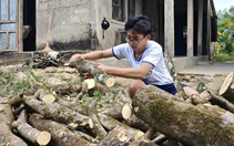 Tân sinh viên ĐH Huế: Luôn nhớ ngày mẹ nằm xuống trước cổng trường nên tôi không bỏ học