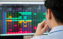 LPS tăng kịch trần sau chuỗi giảm sâu, vẫn mất gần 20% từ giá IPO