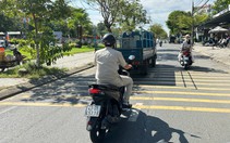 Đà Nẵng lập khu nuôi nhốt chó thả rông, quá 48 giờ không ai nhận sẽ xử lý