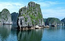 Phát hiện một loài cá nước ngọt trên vịnh Hạ Long