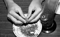 Hút cần sa và béo phì có thể dẫn đến vô sinh ở nam giới