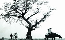 Không có ngày trở về
