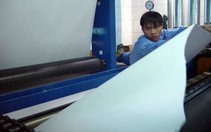 Giá nguyên liệu giấy tiếp tục tăng