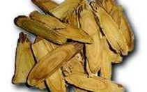 Rễ cam thảo giúp làm tăng trí nhớ